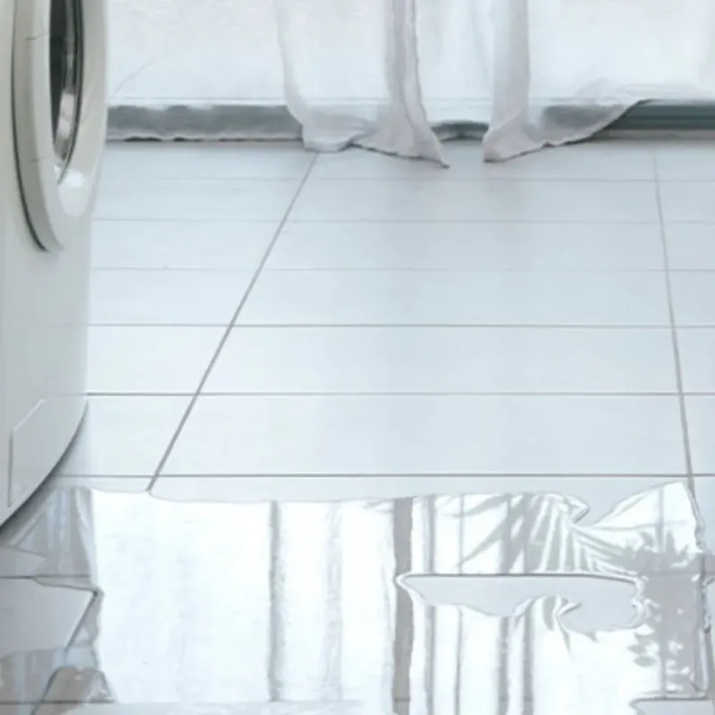 Appliance Leak Cleanup in Forest Ranch, CA